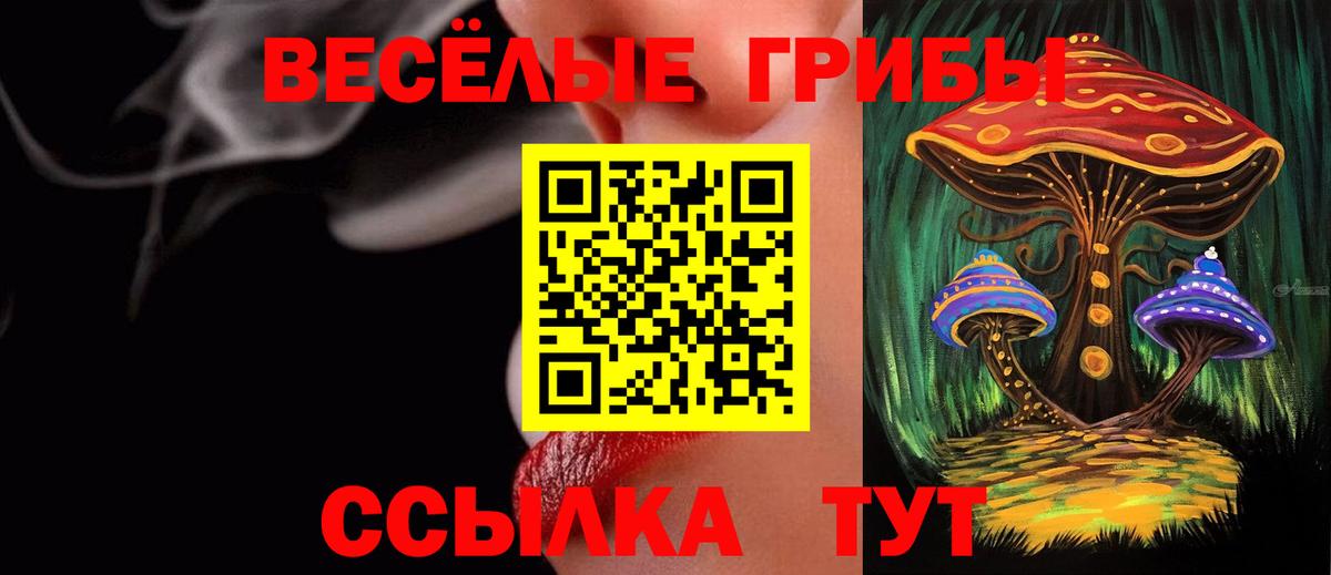 цена   Галлюциногенные грибы мухоморы  Вход с VPN  Петропавловск-Камчатский 